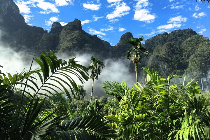 Khao Sok Rainforest | Hiking & Bamboo Rafting