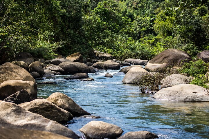 Khao Sok Rainforest | Hiking & Bamboo Rafting