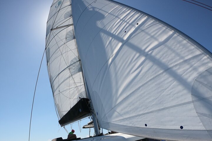 Catamaran Alghero, Catamaran Sailing Day Trip