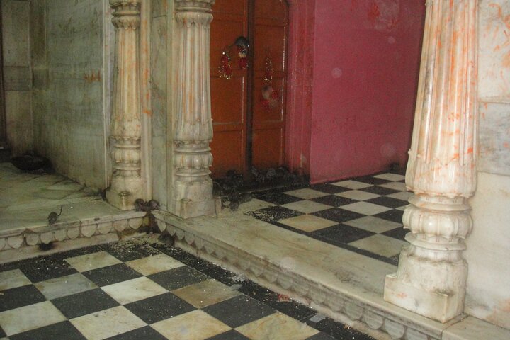 Visit Bikaner in Private Car with Guide Service