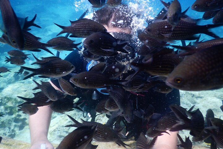 Discover Scuba Diving