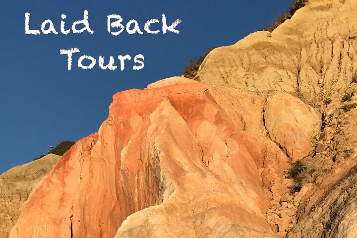 Private, Guided Sightseeing Tour of Marthas Vineyard Island(3hrs)