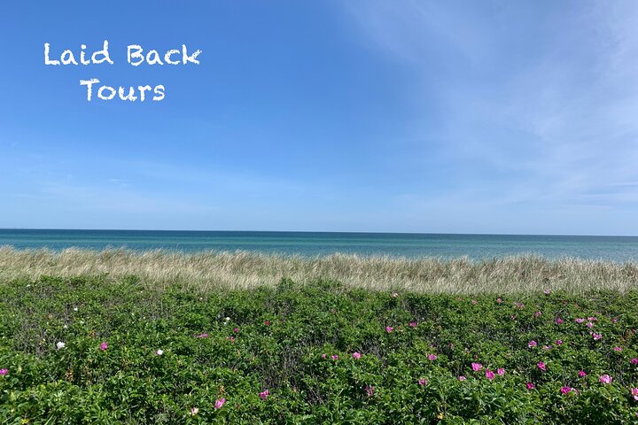 Private, Guided Sightseeing Tour of Marthas Vineyard Island(3hrs)