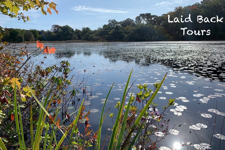 Private, Guided Sightseeing Tour of Marthas Vineyard Island(3hrs)