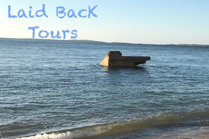 Private, Guided Sightseeing Tour of Marthas Vineyard Island(3hrs)