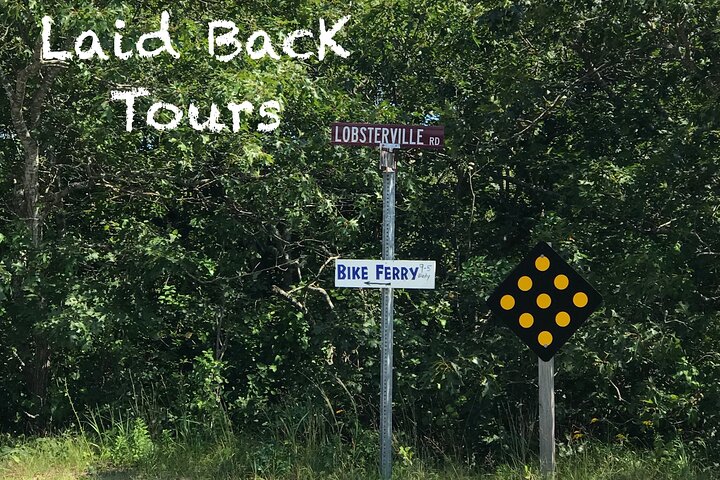 Private, Guided Sightseeing Tour of Marthas Vineyard Island(3hrs)
