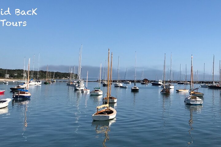 Private, Guided Sightseeing Tour of Marthas Vineyard Island(3hrs)