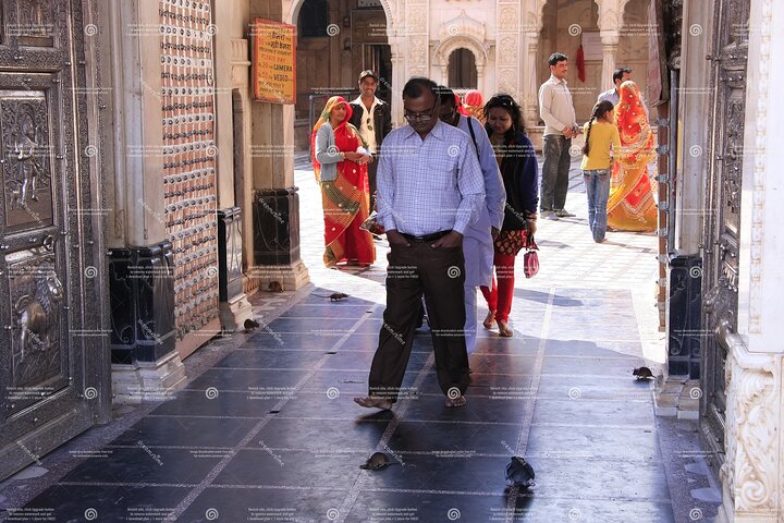 Jaisalmer Drop with Visit Junagarh Fort and Rat Temple from Bikaner
