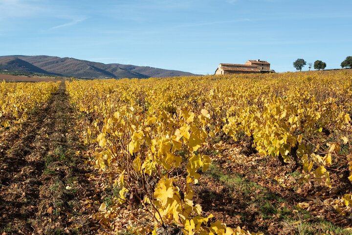 3-Day Rural Experience in the Valley of Ocón