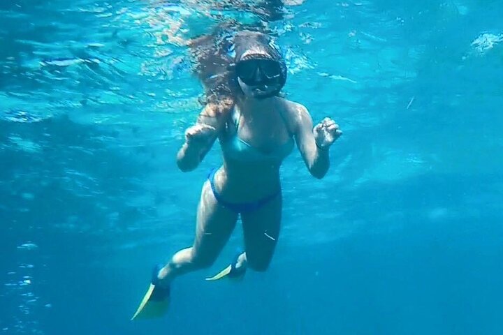 4 Hour Egmont Key Island Tour With Dolphins & Snorkeling Included