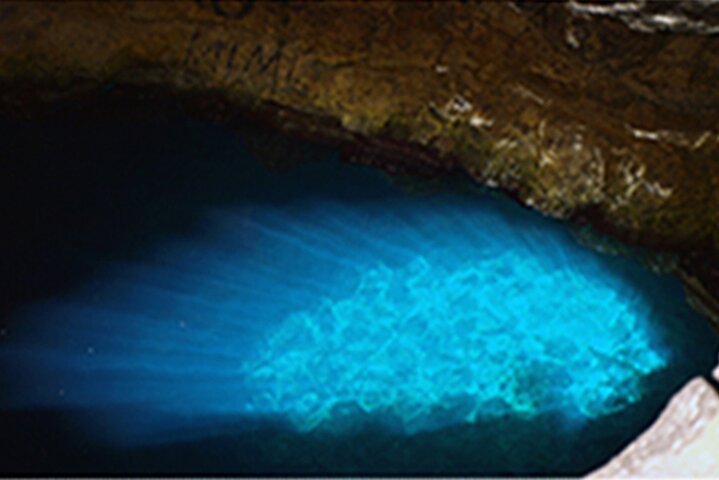 Sal Island Half-Day All-Inclusive Shark Bay, Blue Eye & Salt Lake