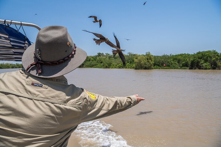 1 Hour Jumping Crocodile Cruise on the Adelaide River