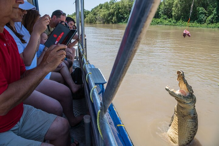 1 Hour Jumping Crocodile Cruise on the Adelaide River