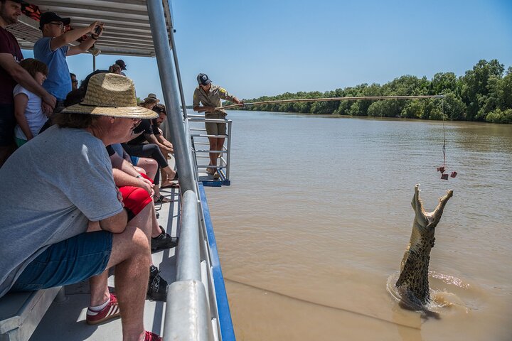 1 Hour Jumping Crocodile Cruise on the Adelaide River