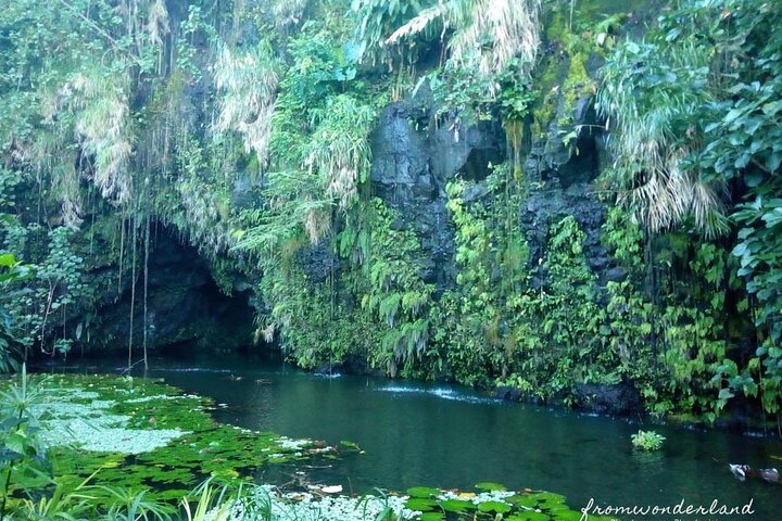 5 Hours Tahiti Island Tour - West and East Coast