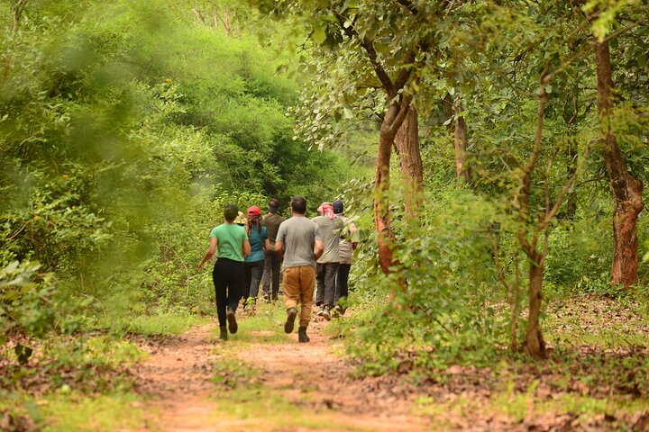72 Hours Jungle Survival Learn to Thrive