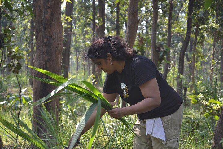 72 Hours Jungle Survival Learn to Thrive