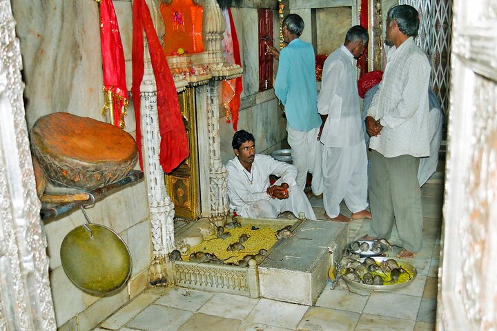Jaisalmer Drop with Visit Junagarh Fort and Rat Temple from Bikaner
