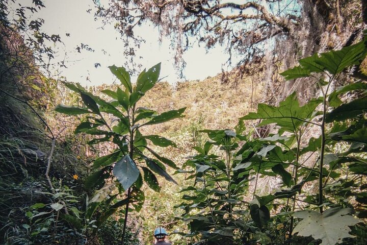 Ancestral Expedition through the Cave of the Factory