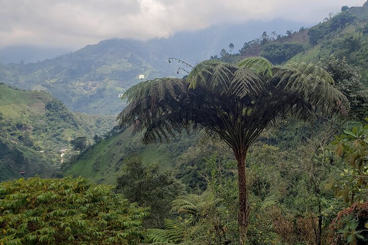 Excursion to La Plata waterfall in Ibagué (490 meters the highest in Tolima)
