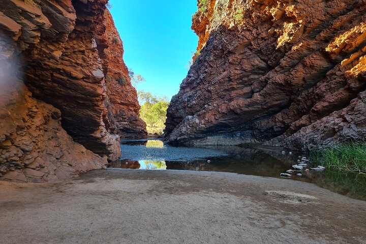 Alice Town And Country Half Day Tour - Small Group