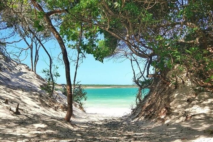 Jericoacoara East Coast Tour