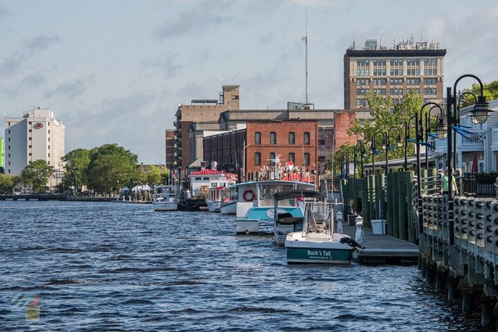 Eagles Island 50 minute Narrated Boat Cruise