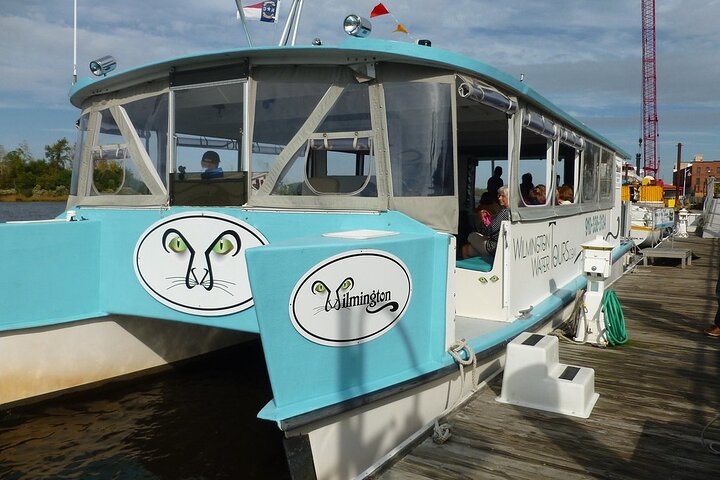 Eagles Island 50 minute Narrated Boat Cruise