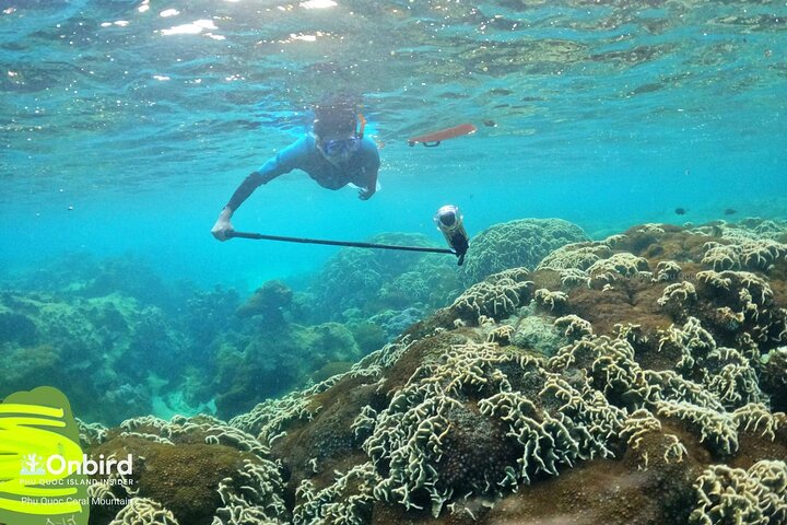 [Phu Quoc] Private Speedboat & Short-Snorkel: South Hidden Reefs