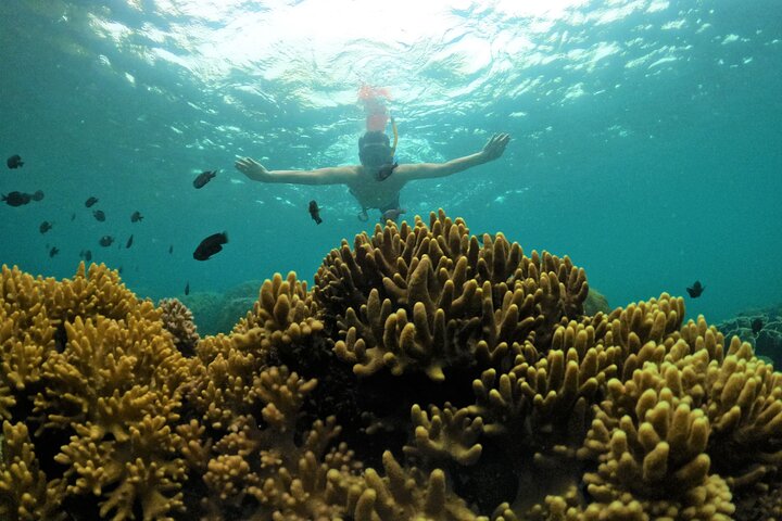 [Phu Quoc] Private Speedboat & Short-Snorkel: South Hidden Reefs