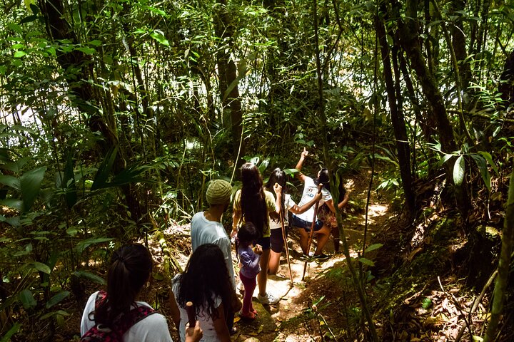 A day to enjoy nature and have an adventure in the Jordan river