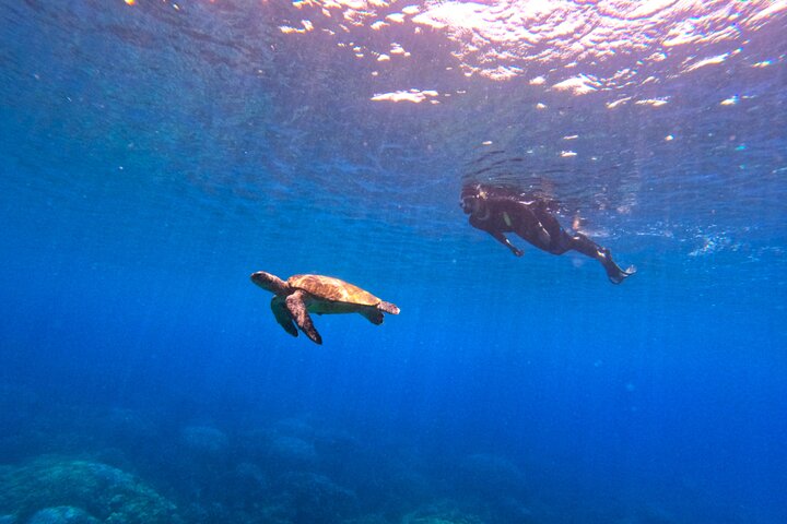 Daymaniyat Islands Snorkeling Sharing Trip