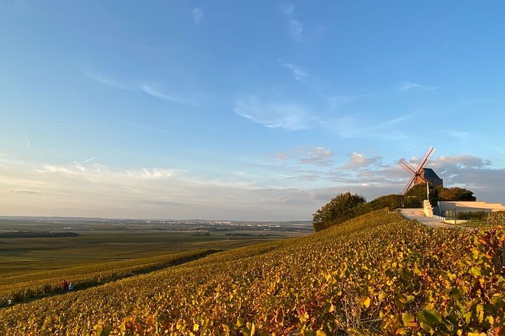 Luxury Champagne Tour(All Included): 2 Famous Houses & Restaurant
