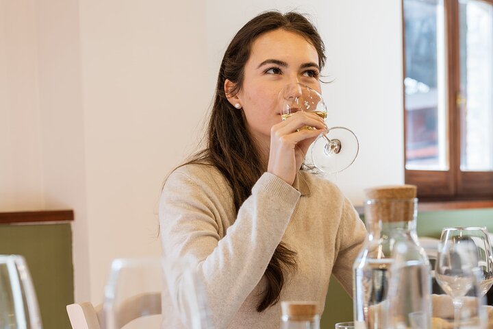Private Food and Wine Tour in the Cellar with Tastings