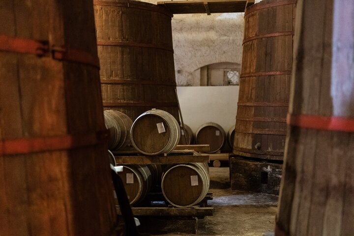 Private Food and Wine Tour in the Cellar with Tastings