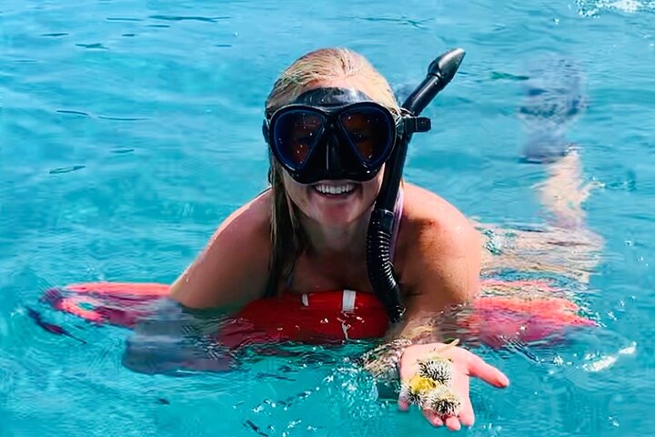 Half Day Luxury Catamaran Turtle Snorkel And Beach
