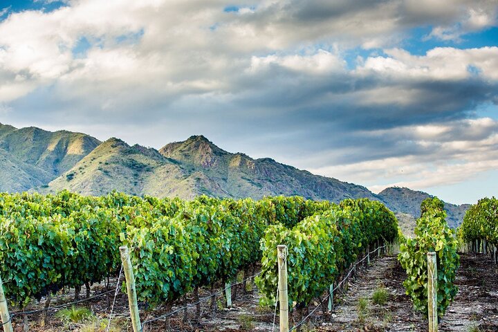Unveiling Cafayate: Premium Wine Road Adventure