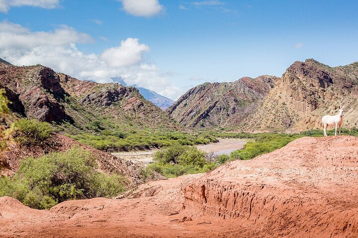 Quebrada De Las Conchas Hiking from Cafayate