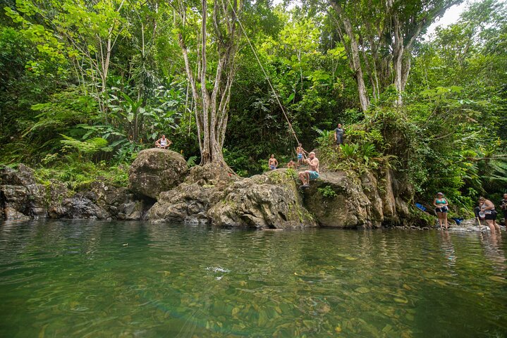 Top Rated El Yunque Rainforest & Waterslide – SmallGroup Tour