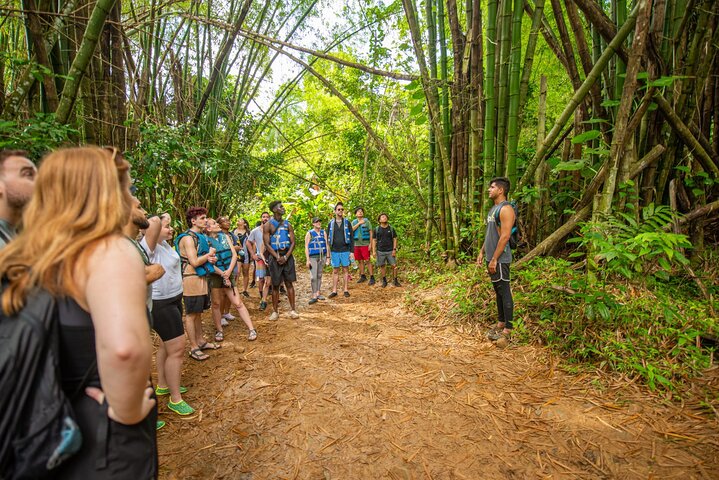 Top Rated El Yunque Rainforest & Waterslide – SmallGroup Tour