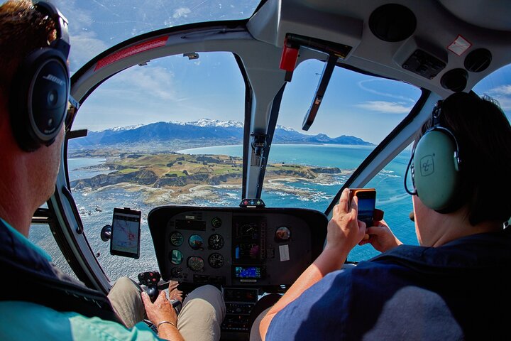 Kaikōura Whale Watching - 1hr 20min Ultimate Adventure