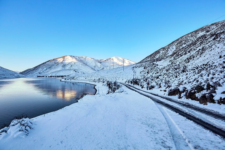TranzAlpine Train, Arthur's Pass and Castle Hill Day Trip