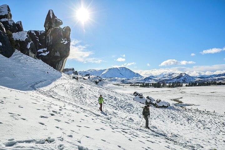 TranzAlpine Train, Arthur's Pass and Castle Hill Day Trip