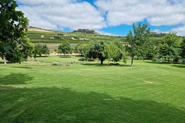 Wine Tour: Paarl, Franschhoek & Stellenbosch incl 3 wineries