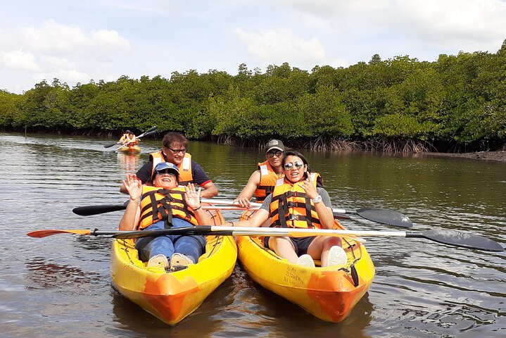 Mangroves Kayaking At Havelock