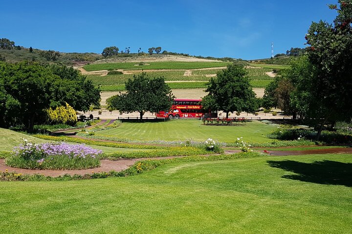 Wine Tour: Paarl, Franschhoek & Stellenbosch incl 3 wineries