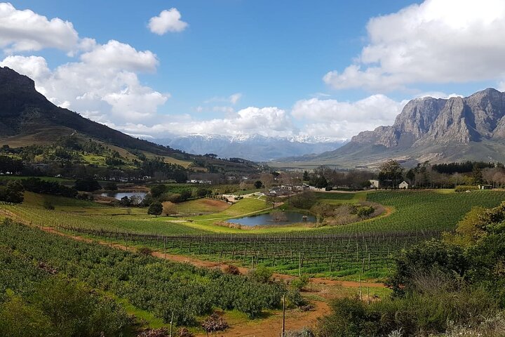 Wine Tour: Paarl, Franschhoek & Stellenbosch incl 3 wineries