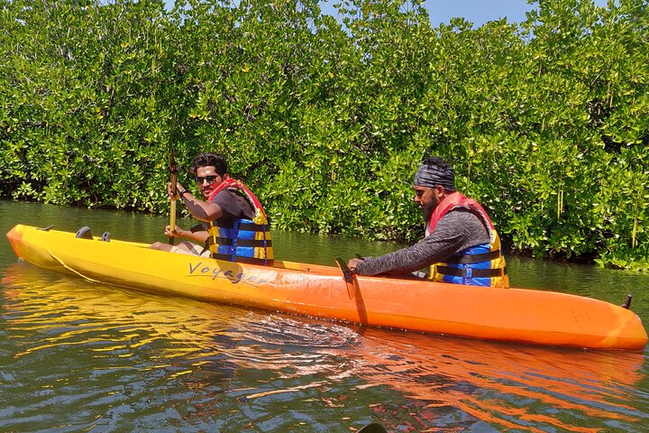 Mangroves Kayaking At Havelock
