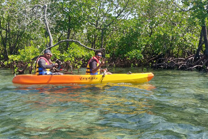 Mangroves Kayaking At Havelock