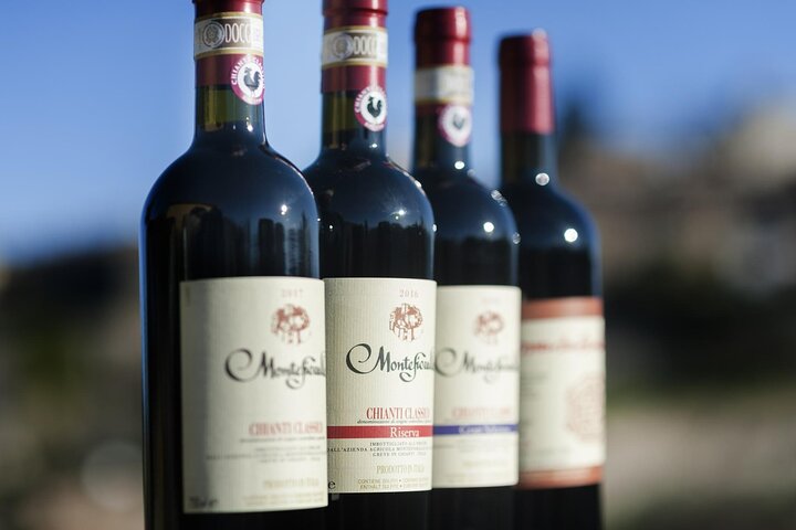 Montefioralle Winery - Tour and Wine Tasting in Chianti